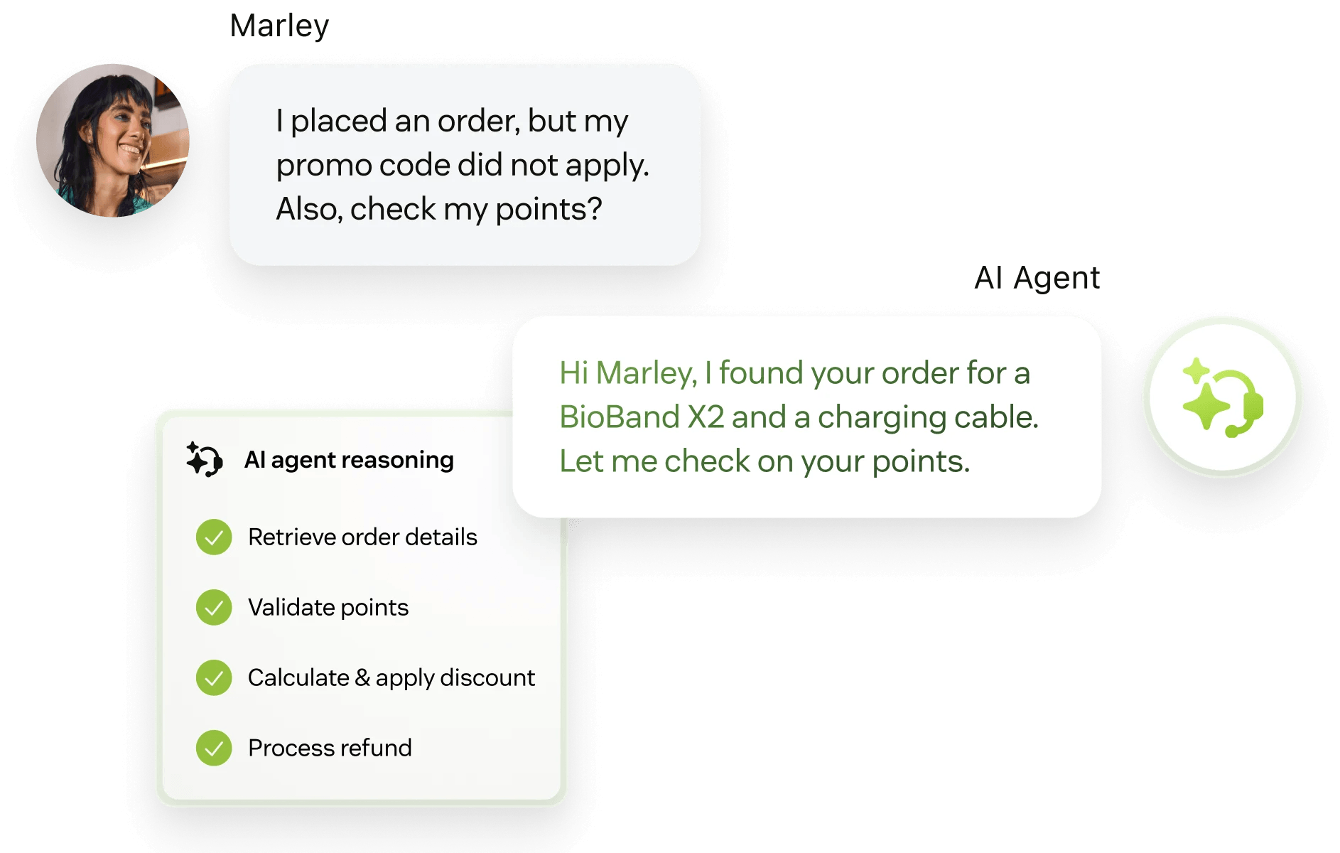 Zendesk's AI Agent