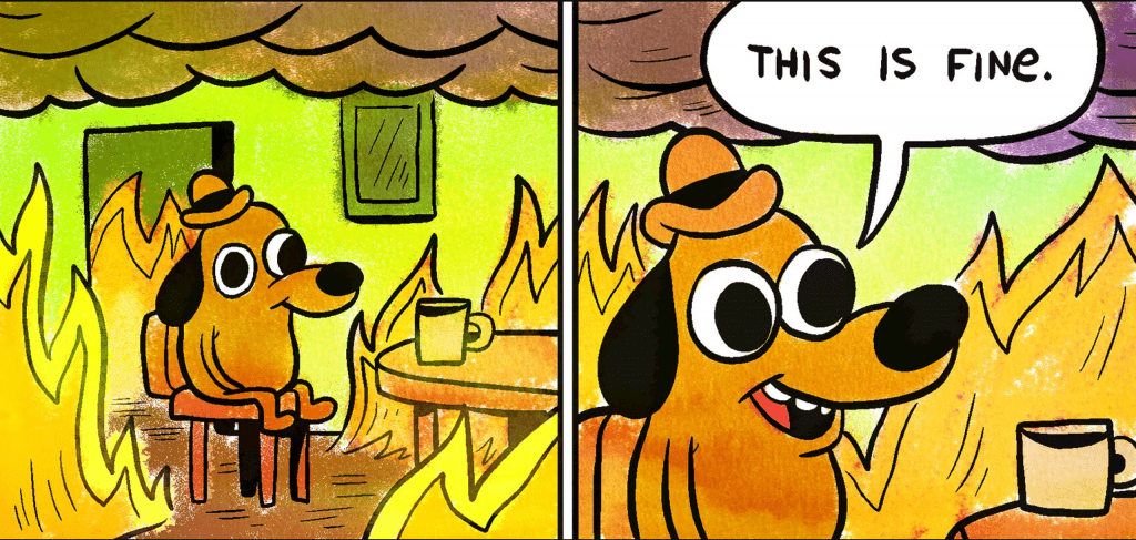мем this is fine