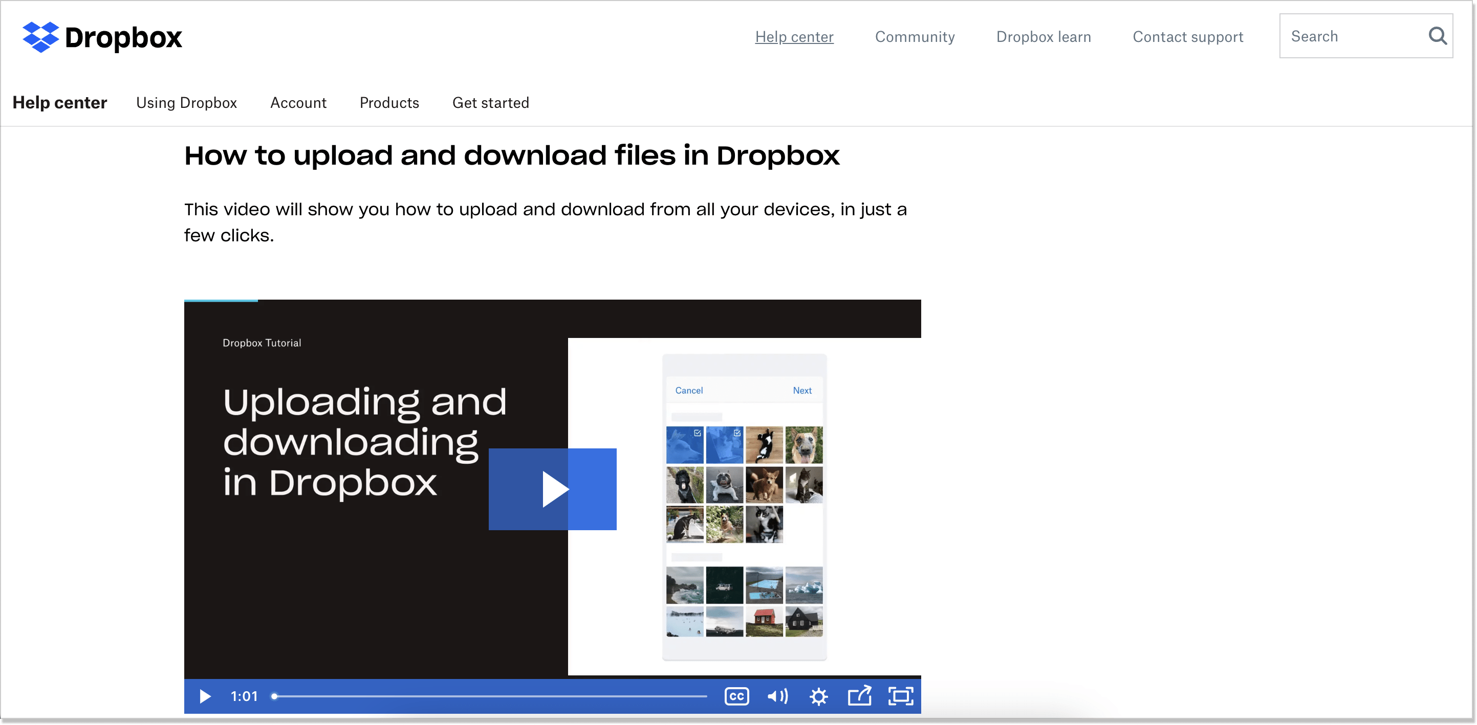 dropbox customer service knowledge base