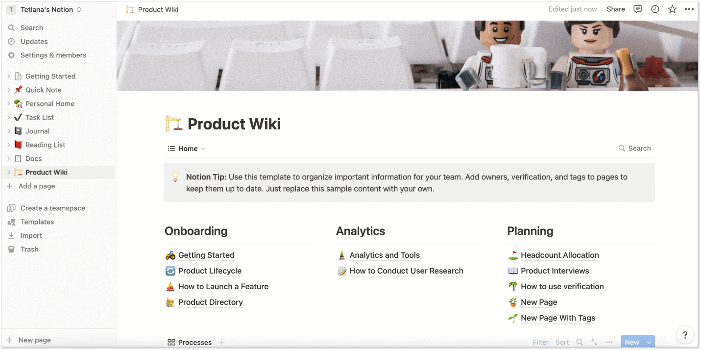 Notion wiki example