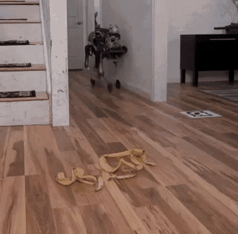 funny gif with boston dynamics' robot dog slips on a banana peel