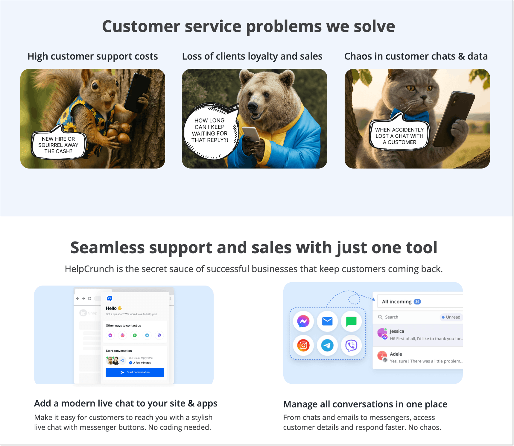 HelpCrunch customer service landing page example