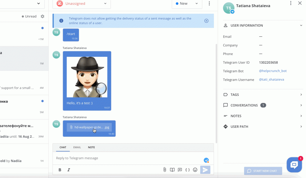Image previews in a chat